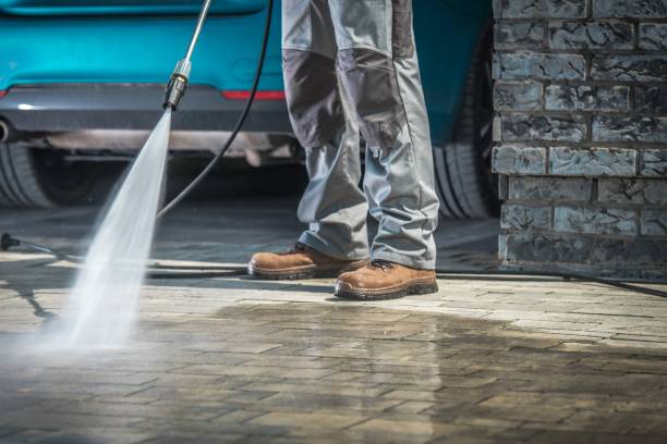Best Gutter Cleaning  in Knob Noster, MO