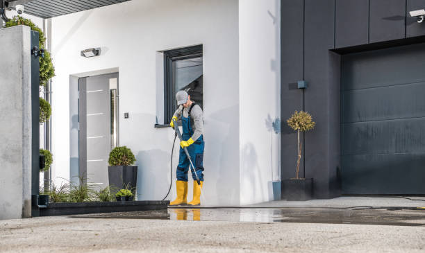 Best Fleet Vehicle Washing  in Knob Noster, MO
